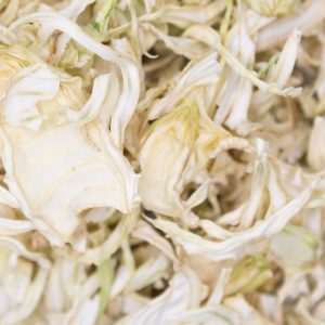 Finocchi Bio Italia Essiccati A Freddo