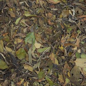 Tè BIANCO PAI MU TAN