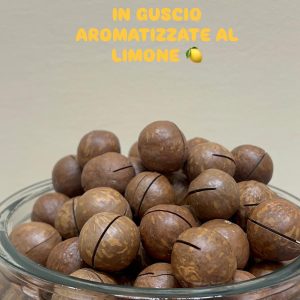 NOCI DI MACADAMIA IN GUSCIO TOSTATE SENZA SALE AL LIMONE