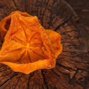 CACHI ESSICCATO AL NATURALE