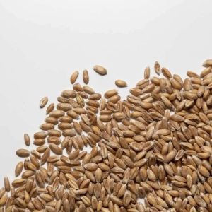 FARRO PERLATO BIOLOGICO ITALIANO