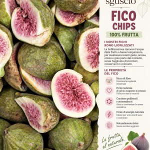 FICO CHIPS