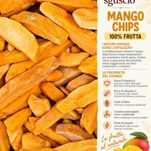 MANGO CHIPS
